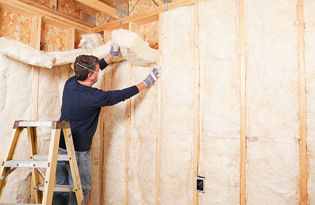 Eco-Friendly or Green Insulation Solutions in Haleyville, AL